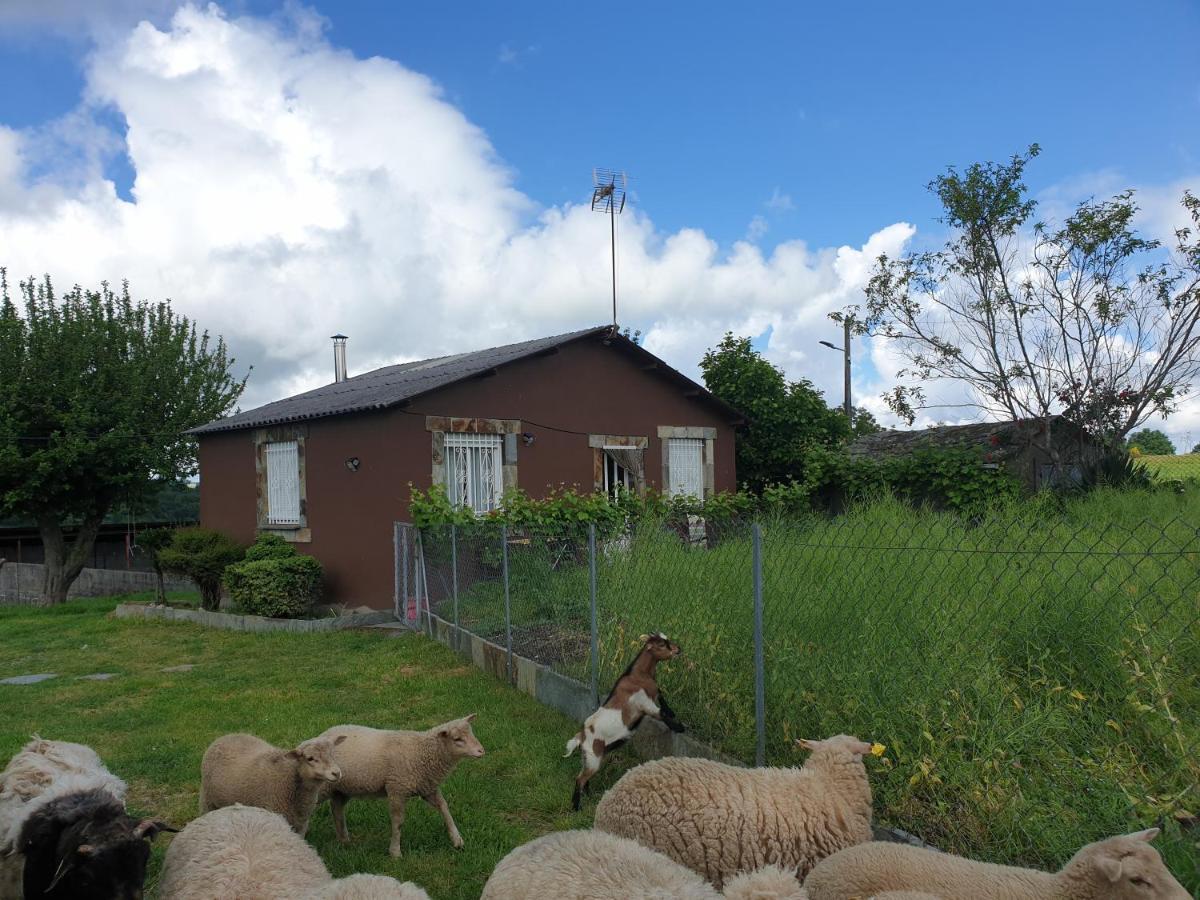 Anamar Villa Lugo Eksteriør billede